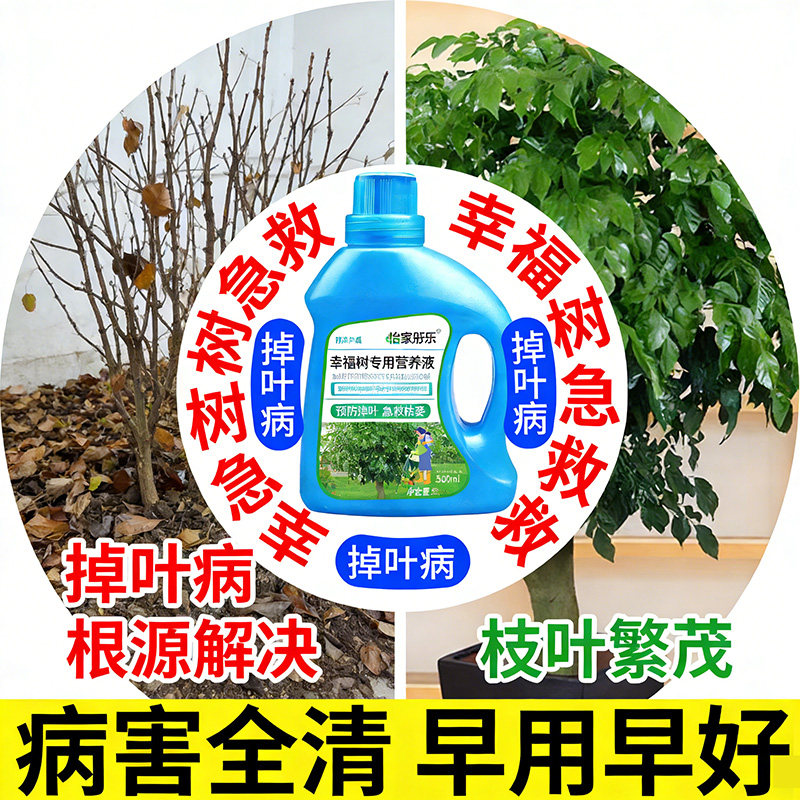 幸福树专用营养液专用肥料落叶掉叶子专用肥料专黄叶烂根营养液,鲜花速递/花卉仿真/绿植园艺,家庭园艺肥料,淘宝优惠券,粉丝福利购,淘宝优惠卷