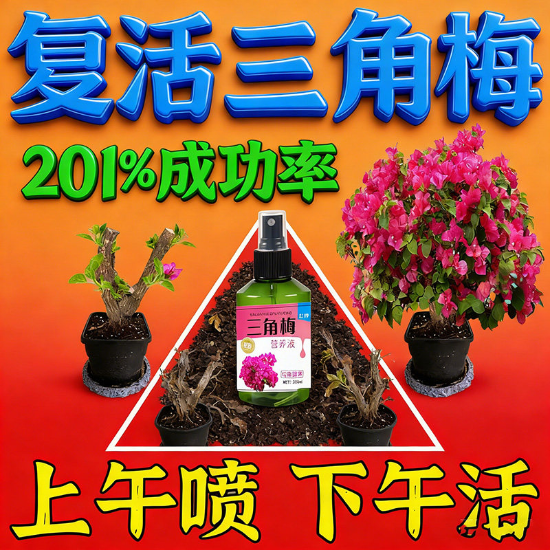 三角梅开花专用肥硫酸磷钾花肥料促花养花家用盆栽喜酸植物营养肥,鲜花速递/花卉仿真/绿植园艺,家庭园艺肥料,淘宝优惠券,粉丝福利购,淘宝优惠卷