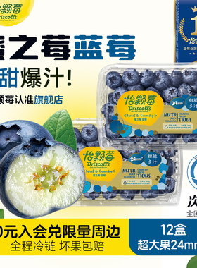 【金标蜜之玫】Driscolls怡颗莓云南超大果蓝莓钻石款蓝莓鲜水果