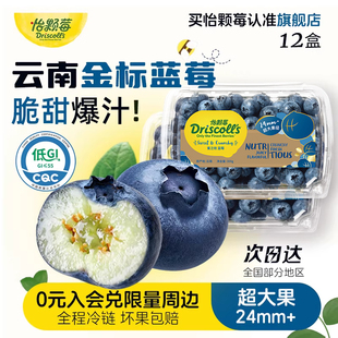 【金标蜜之玫】Driscolls怡颗莓云南超大果蓝莓钻石款蓝莓鲜水果