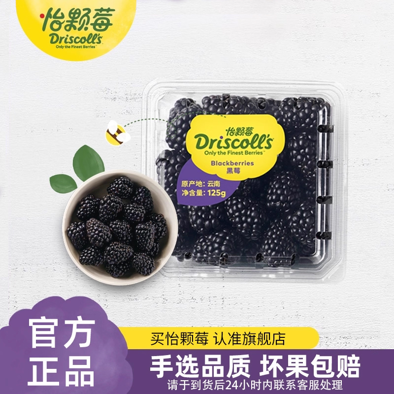怡颗莓黑莓新鲜水果应季大果
