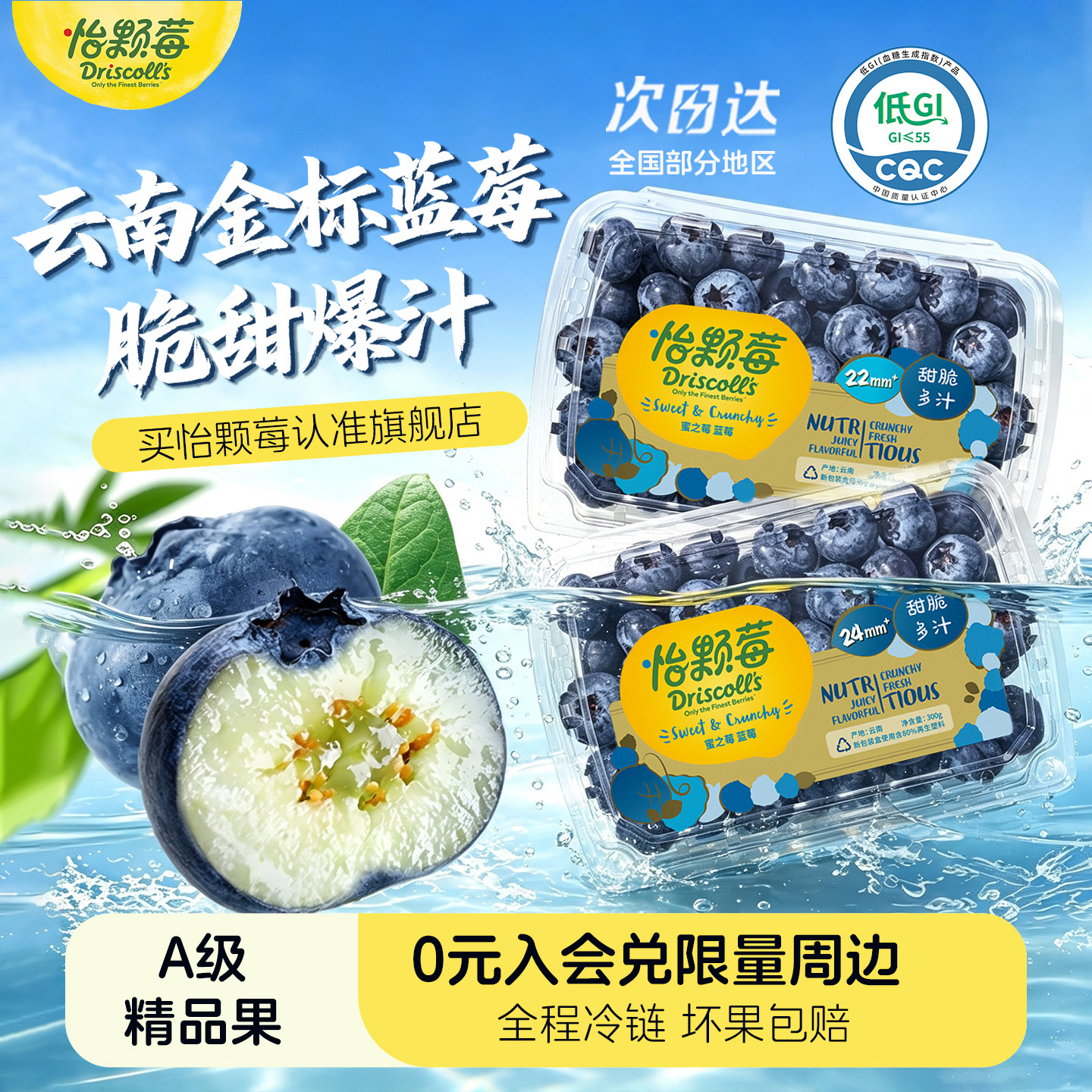 【金标蜜之玫】Driscolls怡颗莓云南超大果蓝莓钻石款蓝莓鲜水果