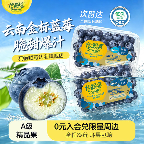 怡颗莓蓝莓新鲜当季水果300g/盒