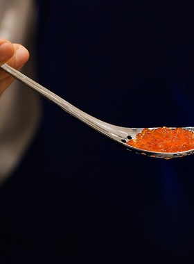 Stainless Steel Spherification Spoon Molecular Mixologist Sl