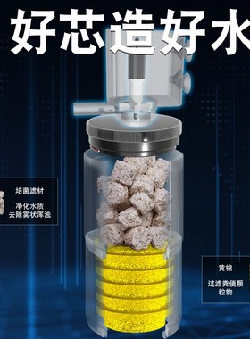 Aquarium fish of a complete set of circulating water