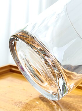 Hydroponic vessel creative glass pot aquatic plants bottle