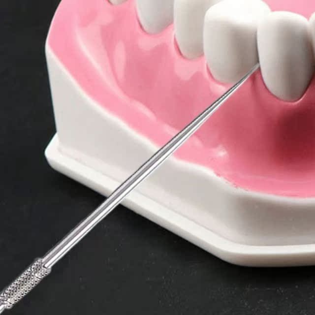 Titanium Toothpick with Protective Holder, Non-Toxic Waterpr