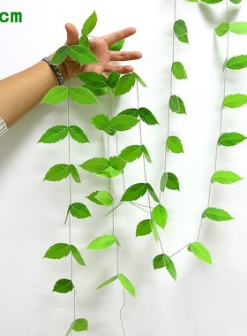 Jungle Theme Parti Banner Safari Kids 1st Birthday Party Gar