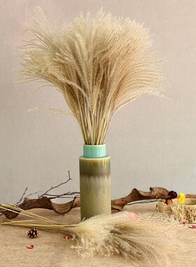 Real Dried Small Pampas Grass Wedding Flower Bunch Natural P