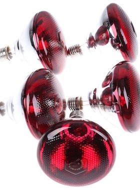 Pet Brooder Hatch Chicken Piggy Dog Cat Thermal Lamp Smart I