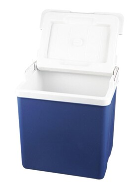 storage box 10L refrigerator outdoor small incubator Portabl