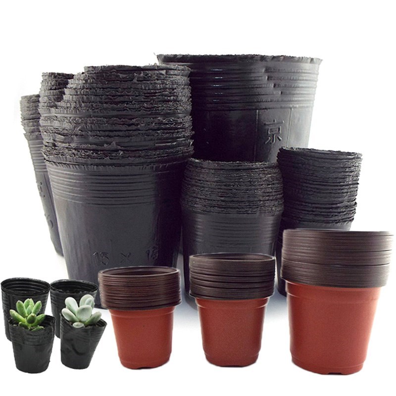 6/12cm gardening plastic Nursery grow pots planter Cups Star