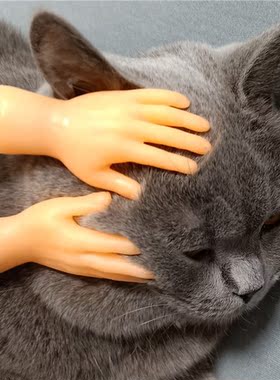 Finger Hand Shaped Catcher Teaser Rod Cat Interactive Kitten