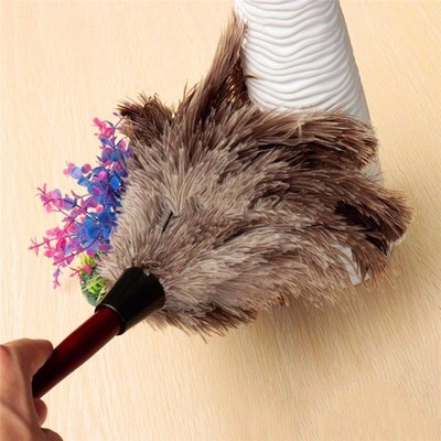 Anti-static Ostrich Feather Fur Wooden Handle Brush Duster D