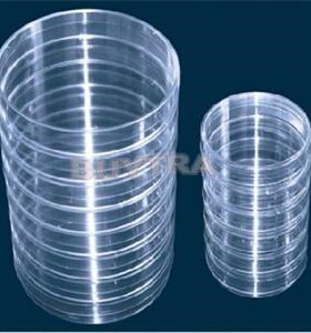 10 pcs/pack 55mm x15mm Laboratory Plastic Petri Dish/Transpa