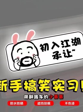 Foolish newbie on the road sign of the driver post funny