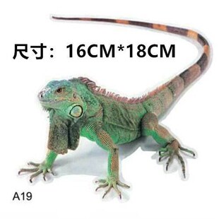 3 d car spider gecko animal bumper sticker lifelike modified