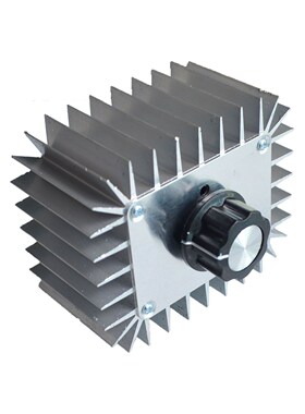 AC 220V 5000W SCR Voltage Regulator Moror Speed Controller L