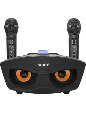 SD 306 Portable Family Karaoke System Two Wireless Microphon