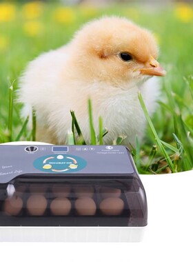 12pcs Home Use Hatchery Machine Brooder Egg Incubator Househ