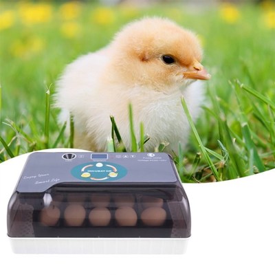 12pcs Home Use Hatchery Machine Brooder Egg Incubator Househ