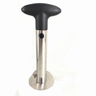 Fruit Pineapple Peeler Slicer Cutter Stainless Steel Kitchen
