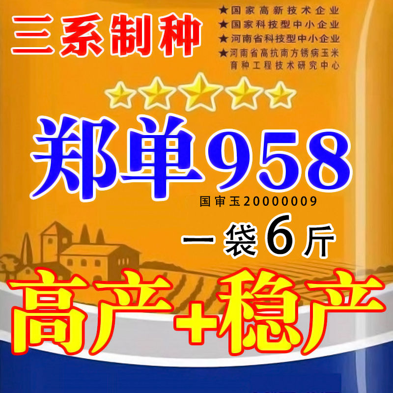 玉米种子郑单958密可丰