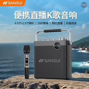 山水T115户外广场舞手提蓝牙音响带话筒插卡插优盘连蓝牙
