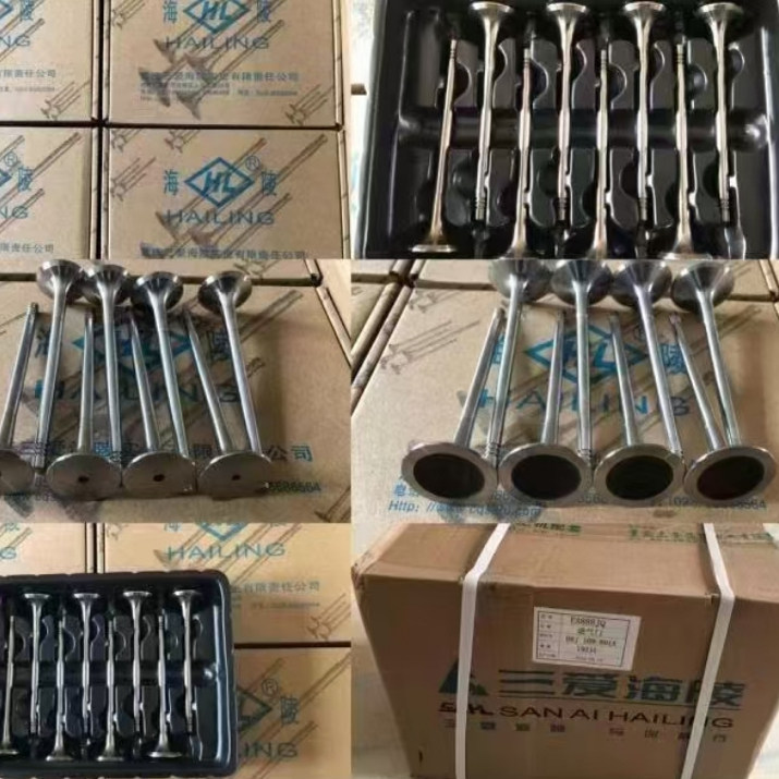 适用大众迈腾帕萨特途观高尔夫奥迪A6LA4LQ5Q3EA888进气门 排气门