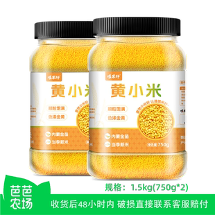 饭先生在东北黄小米金苗K1黄小米3斤 精选罐装