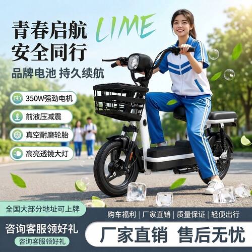 电瓶车自行车助力电车女式小型高续航新国标成人女生新款单48V锂