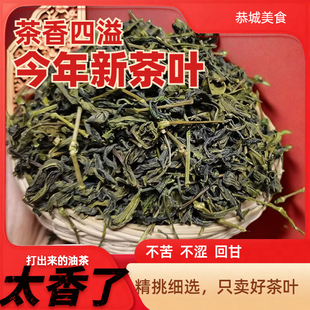 【茶香浓郁】2024年恭城打油茶专用清明谷雨茶恭城油茶