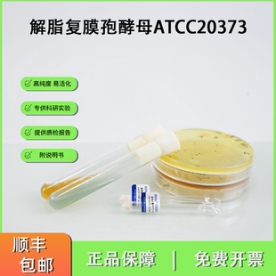 ATCC20373解脂复膜孢酵母 生产柠檬酸标准菌株
