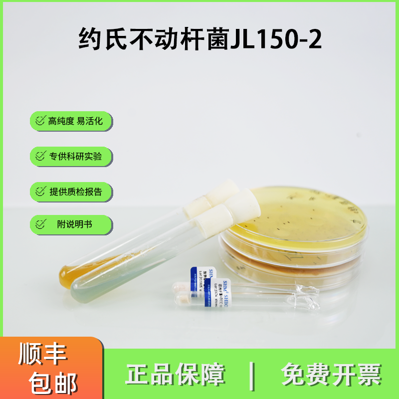 JL150-2约氏不动杆菌  产蛋白酶酯化酶 酿造酱油