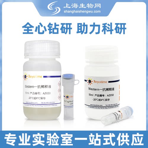 Alas1 Rabbit Monoclonal Antibody碧云天试剂上海生物网AF1042
