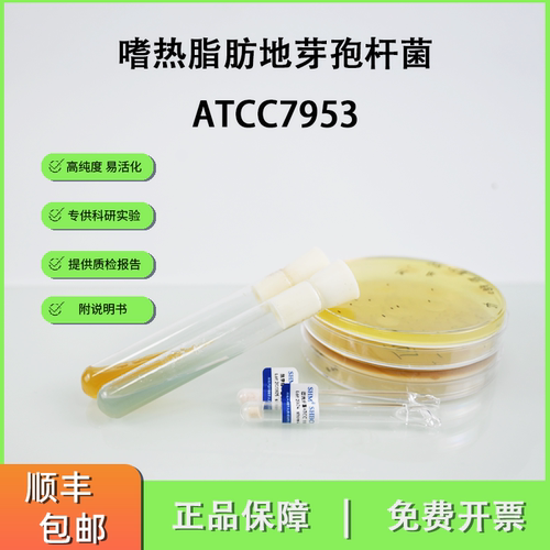 嗜热脂肪地芽孢杆菌ATCC7953消毒效果检测菌 灭菌指示剂