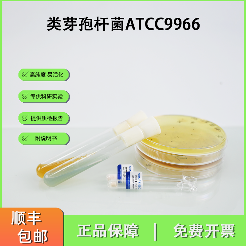 ATCC9966类芽孢杆菌  Paenibacillus chibensis标准菌株