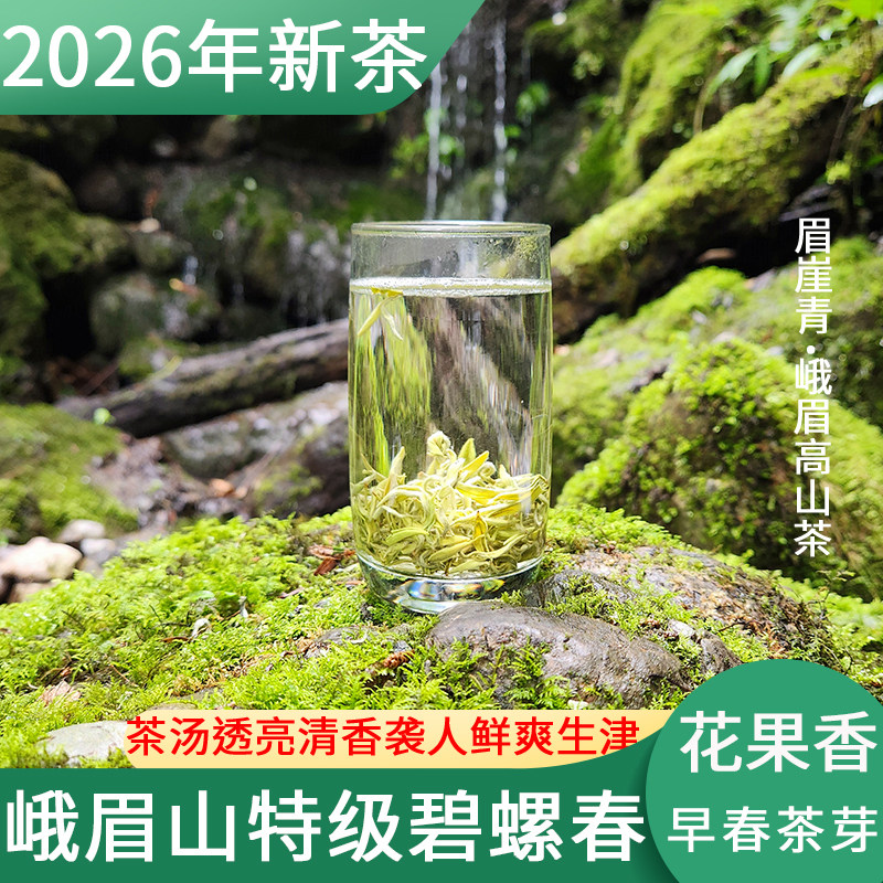 2026年碧螺春特级礼盒小袋装峨眉山春茶新茶叶高山茶毛尖绿茶散装