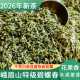 2026年新茶峨眉山碧螺春头采手工特级春茶高山茶绿茶茗茶小袋散装