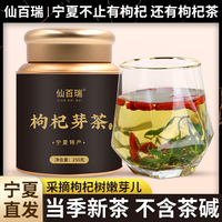 仙百瑞枸杞芽茶不含茶堿晚上可飲