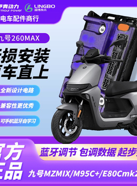 2025新款凌博控制器新款E260Max九号MZ-M95C+ F90-E80mk2九号直上