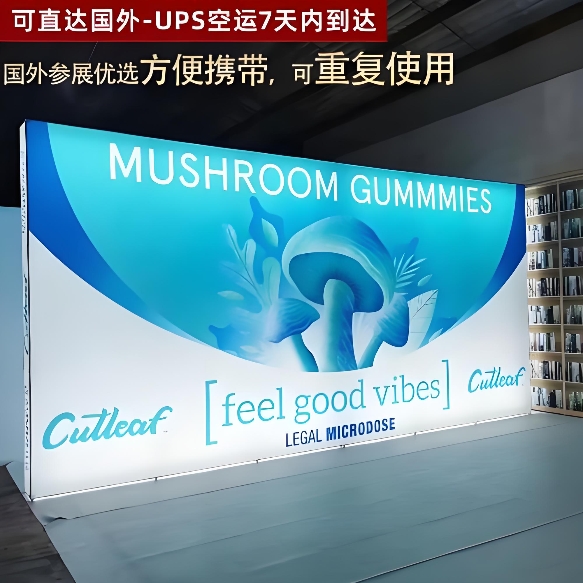 便携拉网展架折叠灯箱发光背景墙