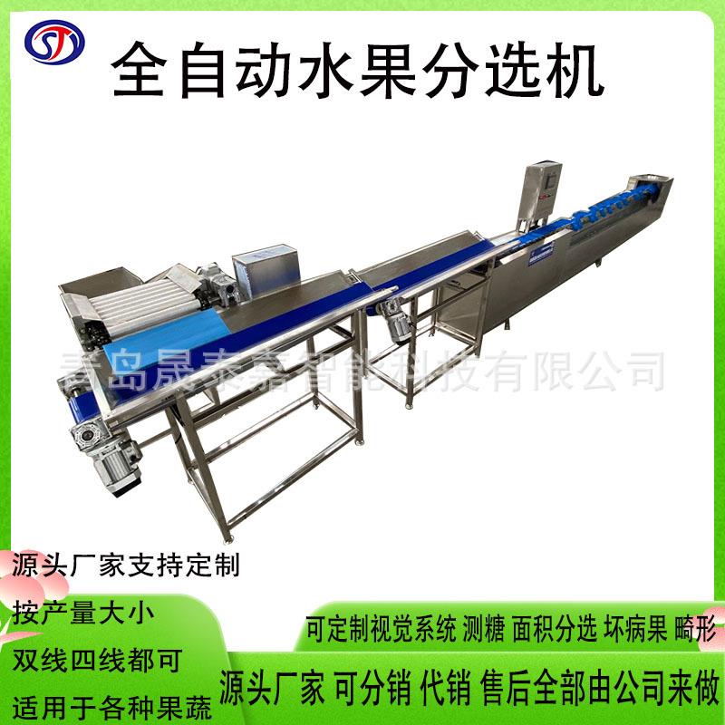 全自动皮皮虾重量分拣机水果海鲜重量分选机土豆自动分级机设备