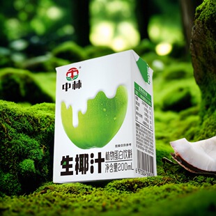 中林生椰汁新鲜生榨椰子鲜椰子汁200ml盒装椰奶椰乳植物蛋白饮料