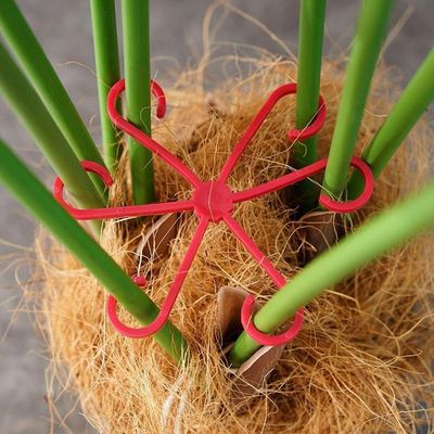绿植固定器龟背竹支撑防倒伏春羽枝干收拢移动托盘花架实用设计