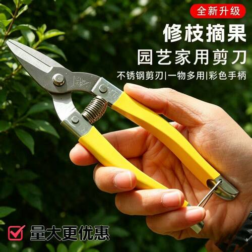 广东罗定牌不锈钢采果剪刀自动回弹摘果剪刀蔬果剪果子剪修枝剪