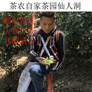 25春大曼吕老树 仙人洞茶园 云南白茶高海拔稀缺香甜白茶100g包邮