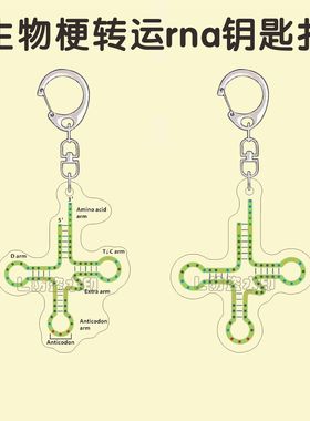 生物热梗转运RNA钥匙扣trna亚克力潮流趣味书包挂件送同学礼物