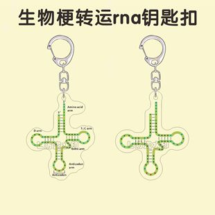 生物热梗转运RNA钥匙扣trna亚克力潮流趣味书包挂件送同学礼物