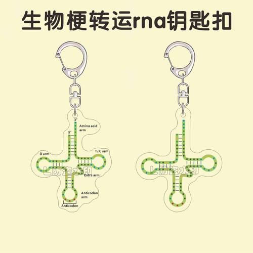生物热梗转运RNA钥匙扣trna亚克力潮流趣味书包挂件送同学礼物